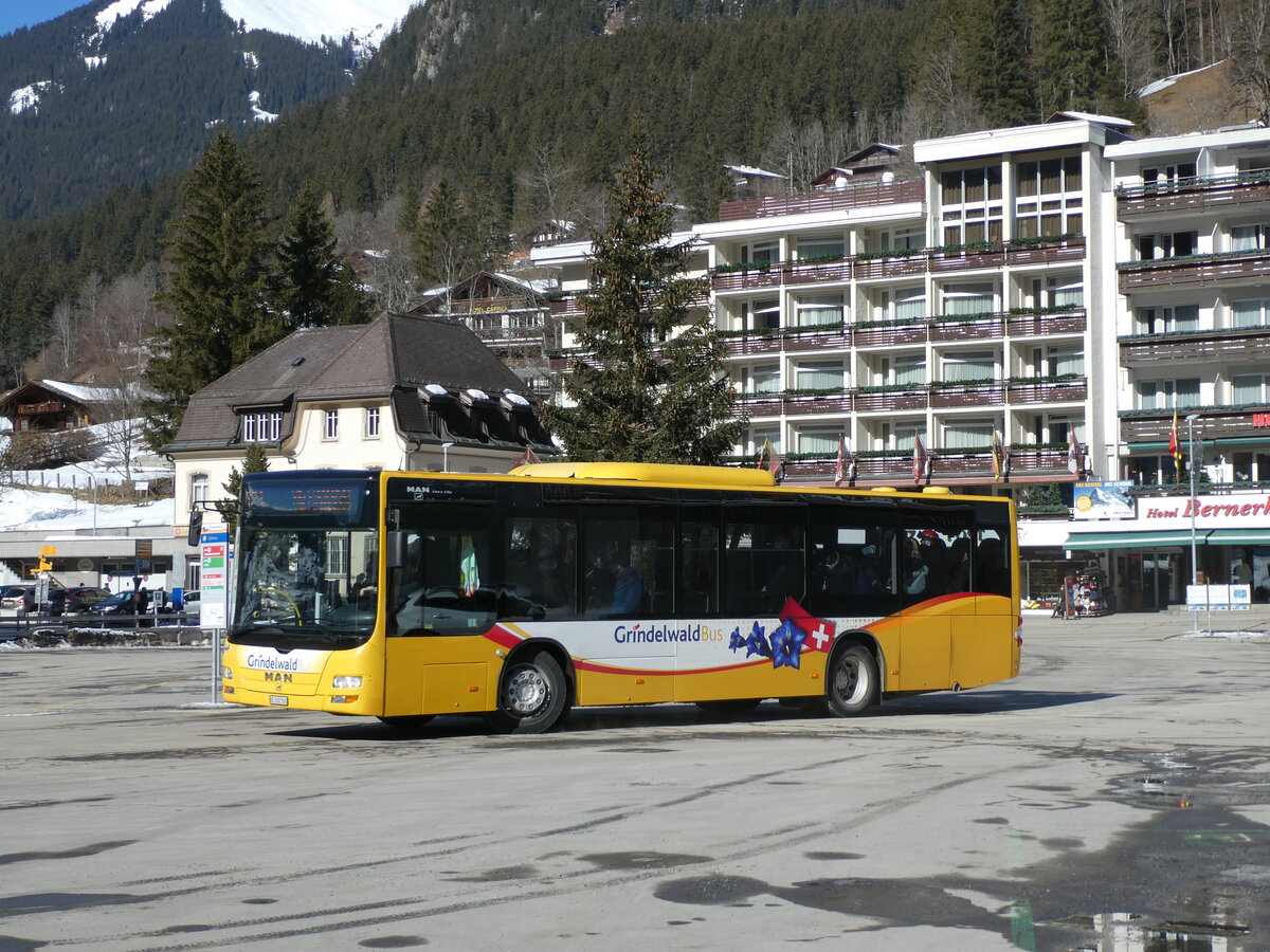 (232'830) - Grindelwaldbus, Grindelwald - Nr. 14/BE 202'568 - MAN/G�ppel am 13. Februar 2022 beim Bahnhof Grindelwald