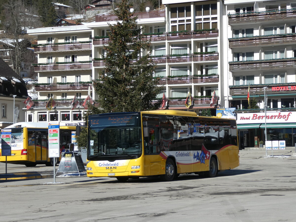 (232'839) - Grindelwaldbus, Grindelwald - Nr. 20/BE 349'361 - MAN/G�ppel am 13. Februar 2022 beim Bahnhof Grindelwald