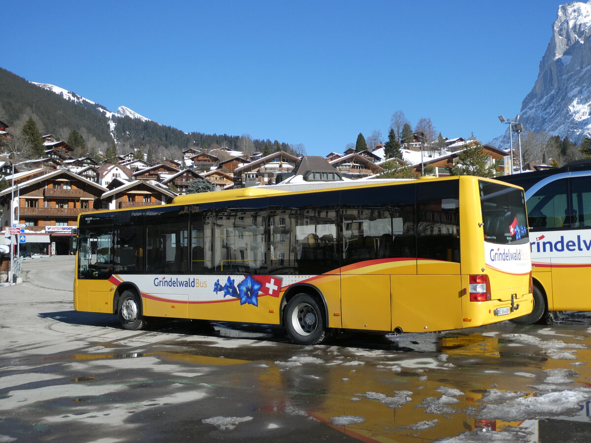 (232'842) - Grindelwaldbus, Grindelwald - Nr. 24/BE 364'408 - MAN/G�ppel am 13. Februar 2022 beim Bahnhof Grindelwald