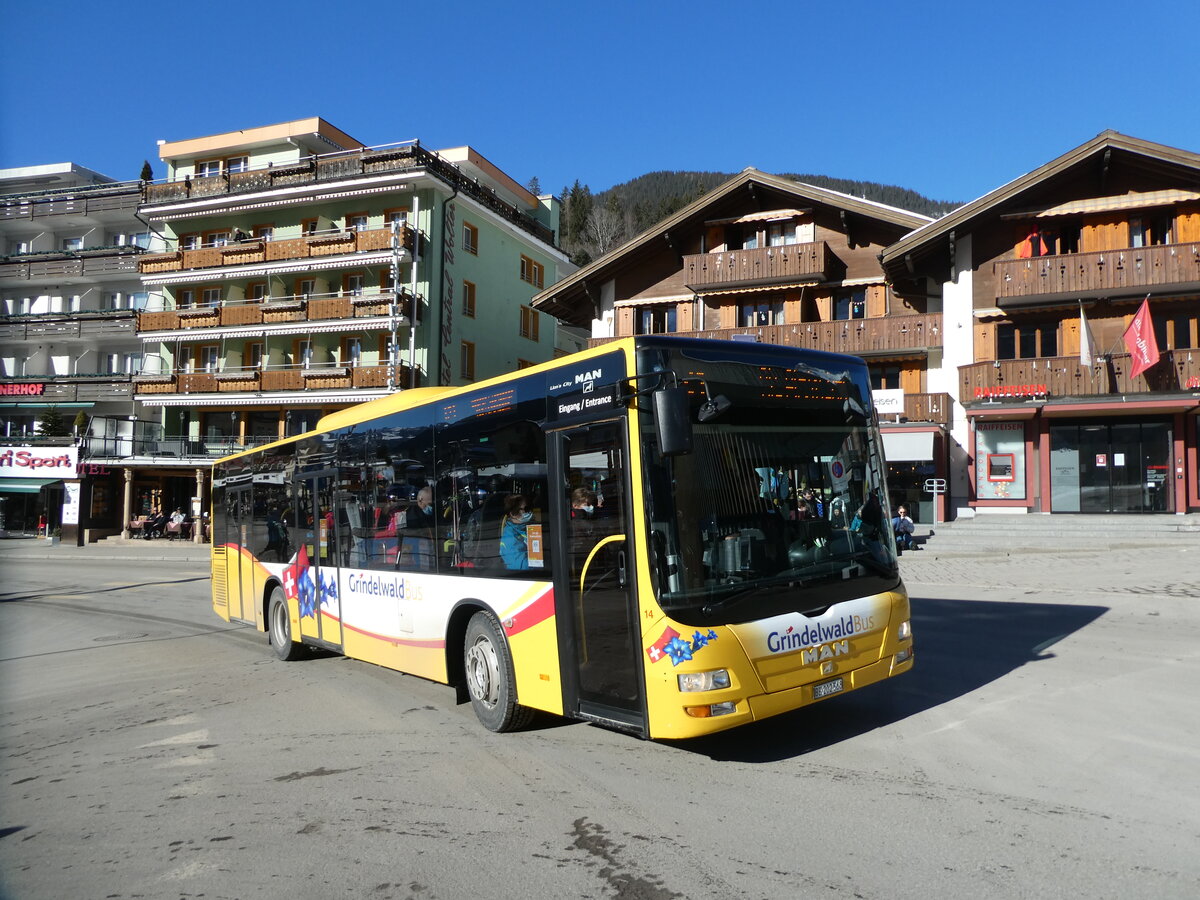 (232'875) - Grindelwaldbus, Grindelwald - Nr. 14/BE 202'568 - MAN/G�ppel am 13. Februar 2022 beim Bahnhof Grindelwald