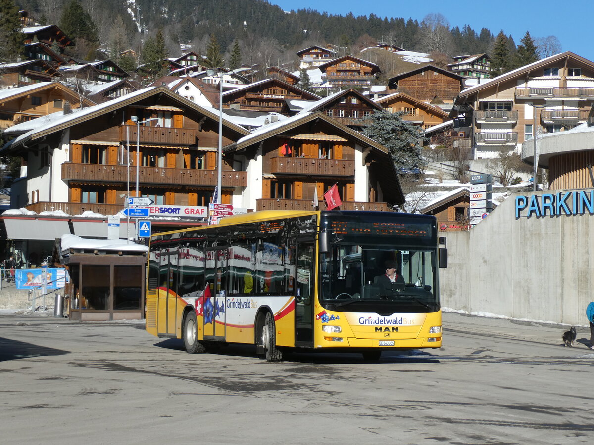 (232'882) - Grindelwaldbus, Grindelwald - Nr. 19/BE 363'305 - MAN/G�ppel am 13. Februar 2022 beim Bahnhof Grindelwald