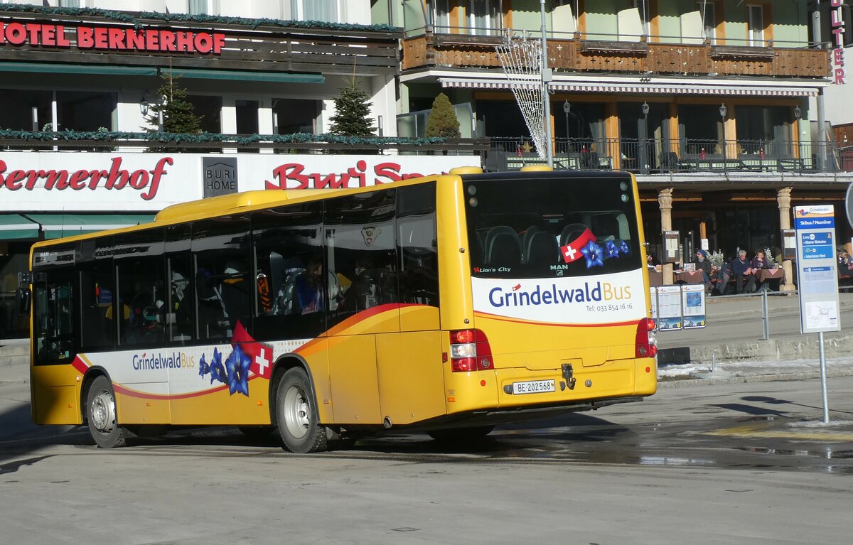 (232'892) - Grindelwaldbus, Grindelwald - Nr. 14/BE 202'568 - MAN/G�ppel am 13. Februar 2022 beim Bahnhof Grindelwald