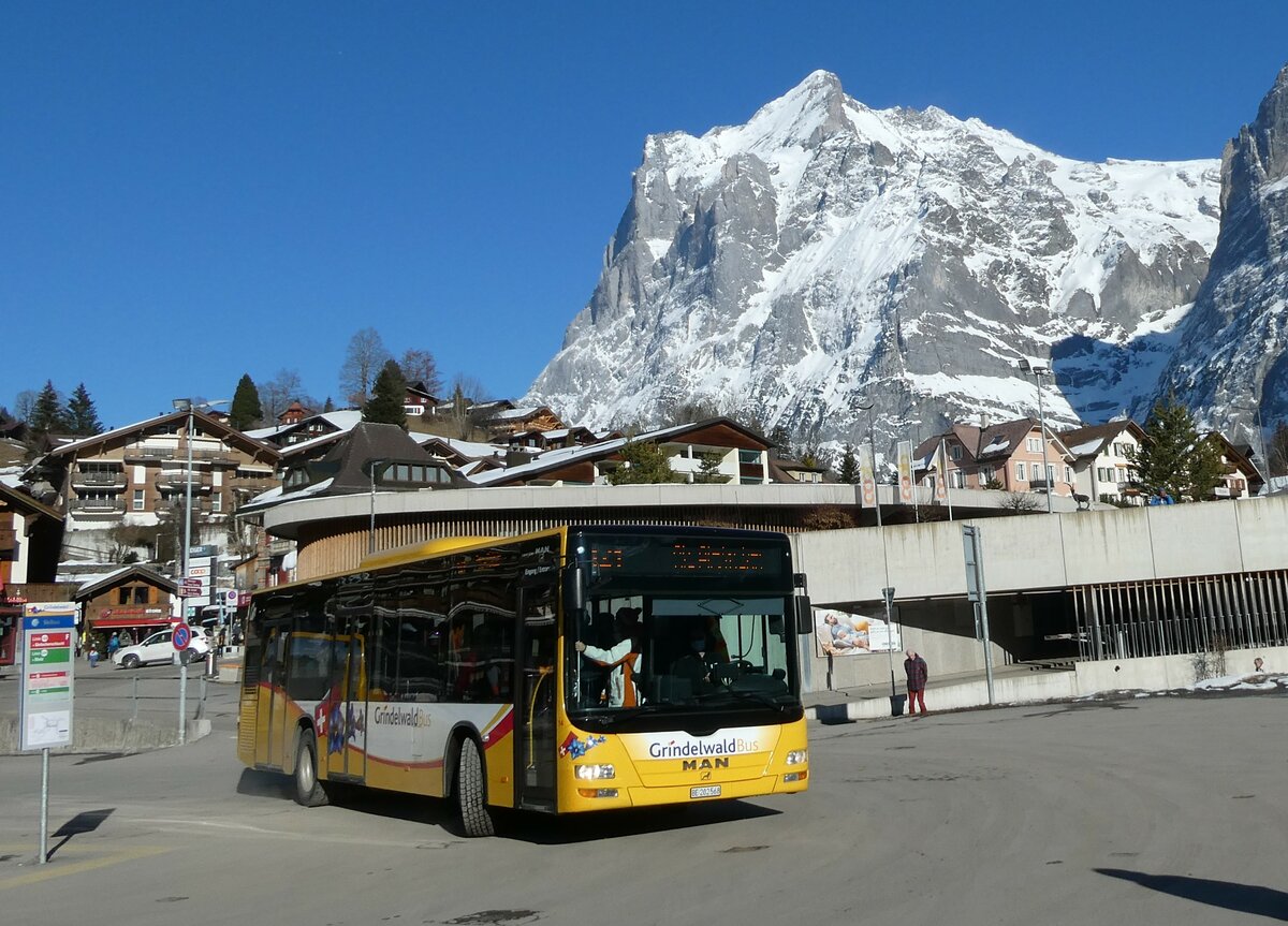 (233'294) - Grindelwaldbus, Grindelwald - Nr. 14/BE 202'568 - MAN/G�ppel am 27. Februar 2022 beim Bahnhof Grindelwald