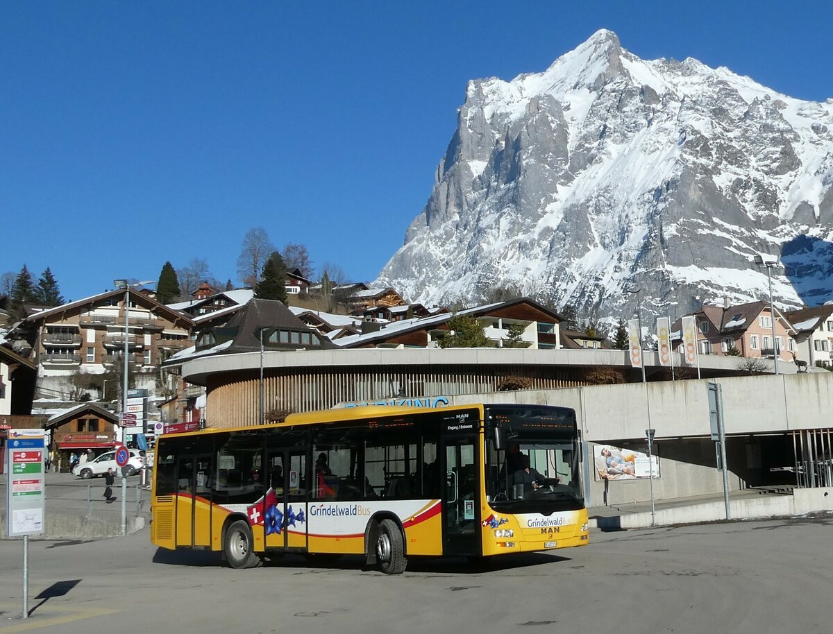 (233'295) - Grindelwaldbus, Grindelwald - Nr. 13/BE 407'170 - MAN/G�ppel am 27. Februar 2022 beim Bahnhof Grindelwald