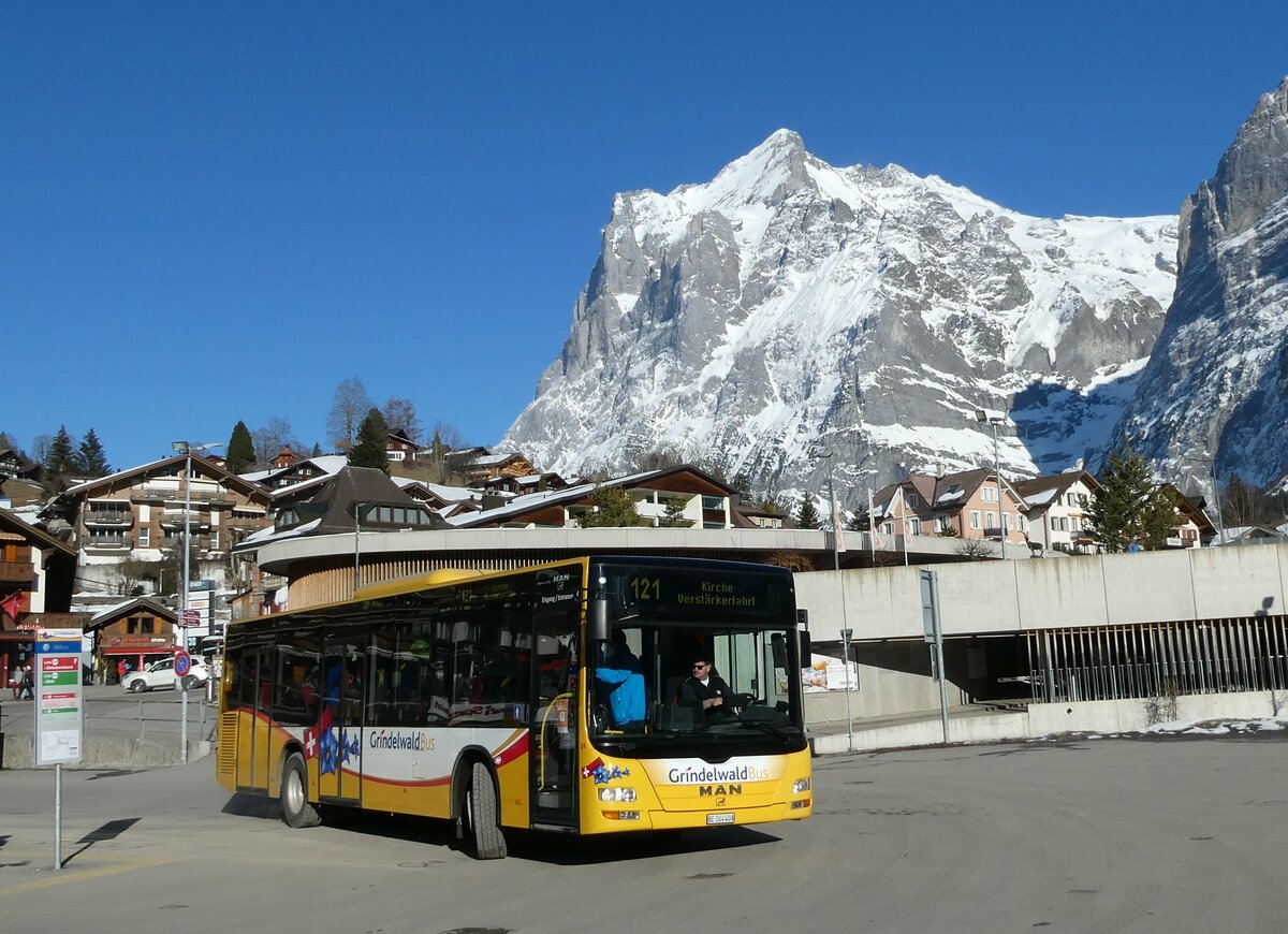 (233'297) - Grindelwaldbus, Grindelwald - Nr. 24/BE 364'408 - MAN/G�ppel am 27. Februar 2022 beim Bahnhof Grindelwald