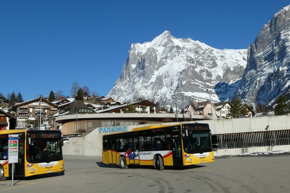 (233'302) - Grindelwaldbus, Grindelwald - Nr. 19/BE 363'305 - MAN/G�ppel am 27. Februar 2022 beim Bahnhof Grindelwald