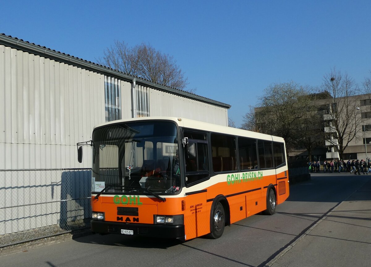 (233'383) - Gohl, Herzogenbuchsee - BE 815'877 - MAN/Lauber (ex AMSA Chiasso Nr. 19; ex Tresch, Amsteg) am 6. M�rz 2022 in Thun, Alpenstrasse