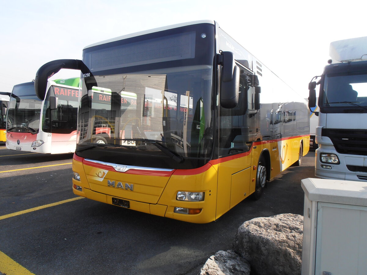 (233'859) - PostAuto Zentralschweiz - PID 10'290 - MAN (ex Mattli, Wassen) am 12. M�rz 2022 in Kerzers, Interbus