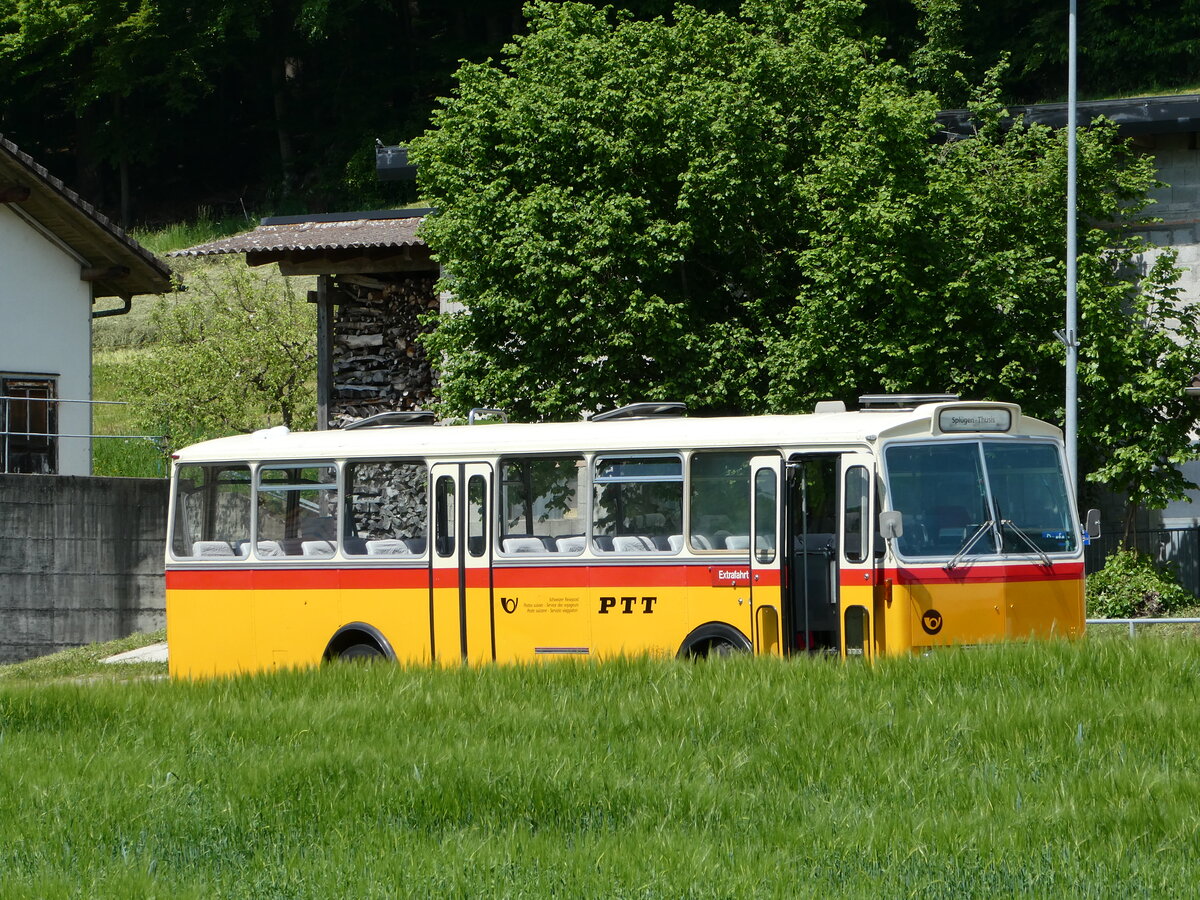(235'684) - Gast, Reutigen - BE 113'160 - Saurer/T�scher (ex HPTrans, Thusis; ex Mauerhofer, Worb; ex Erni, Schupfart Nr. 3; ex P 24'636) am 15. Mai 2022 in Alchenstorf, Wil