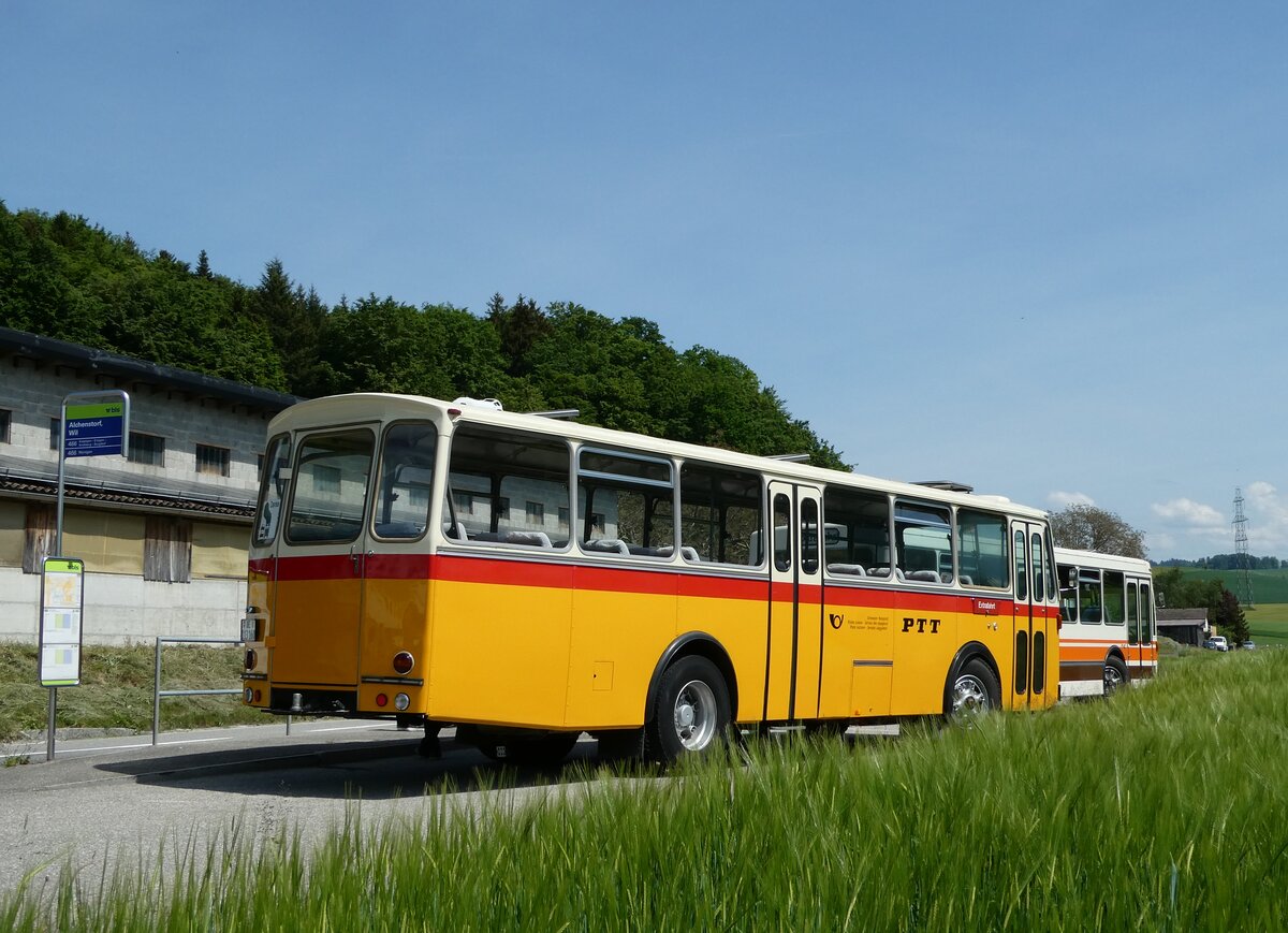 (235'687) - Gast, Reutigen - BE 113'160 - Saurer/T�scher (ex HPTrans, Thusis; ex Mauerhofer, Worb; ex Erni, Schupfart Nr. 3; ex P 24'636) am 15. Mai 2022 in Alchenstorf, Wil