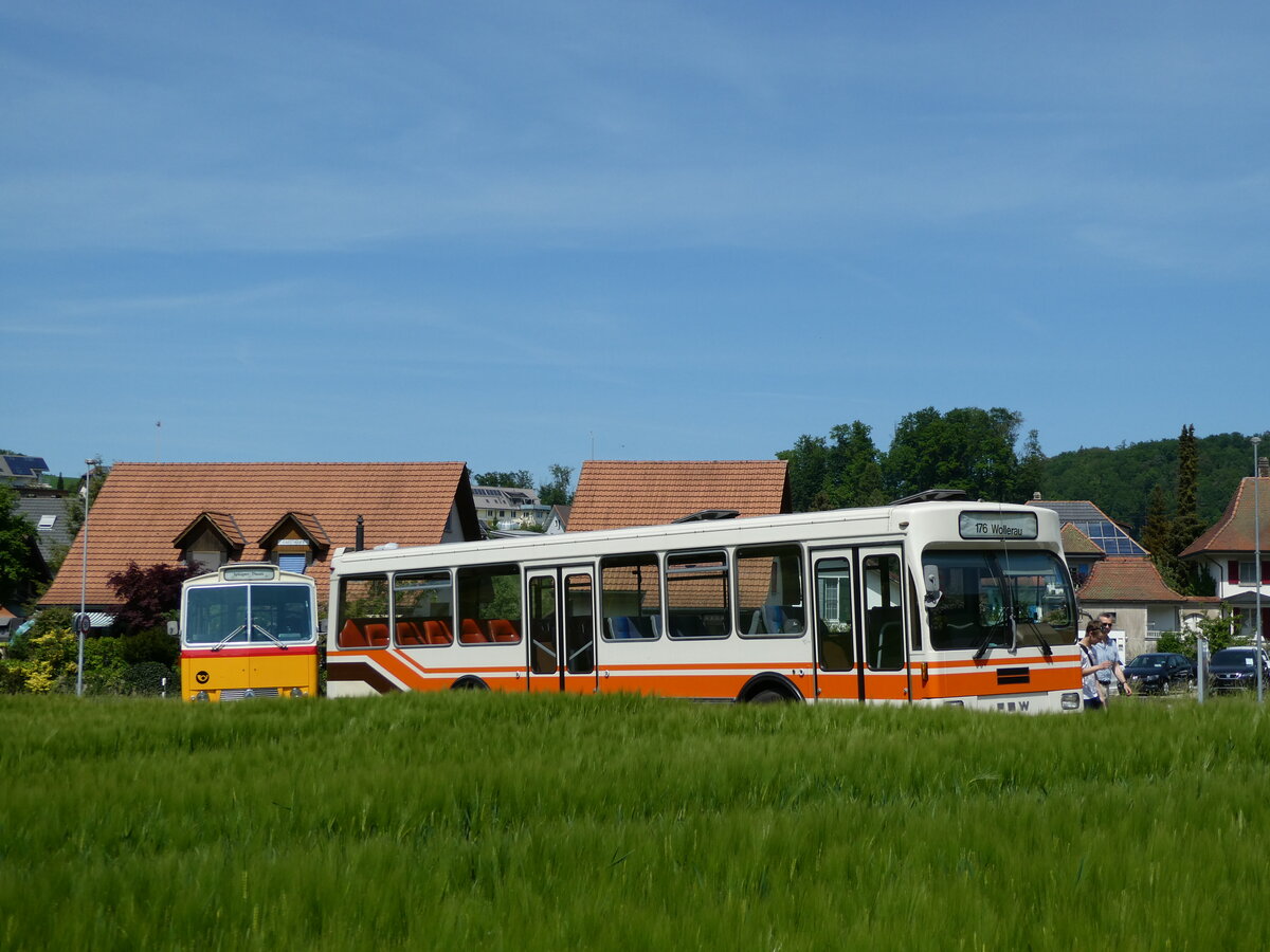 (235'690) - Wegm�ller, M�nsingen - BE 399'675 - FBW/R&J (ex Bamert, Wollerau) am 15. Mai 2022 in Wynigen, Landi