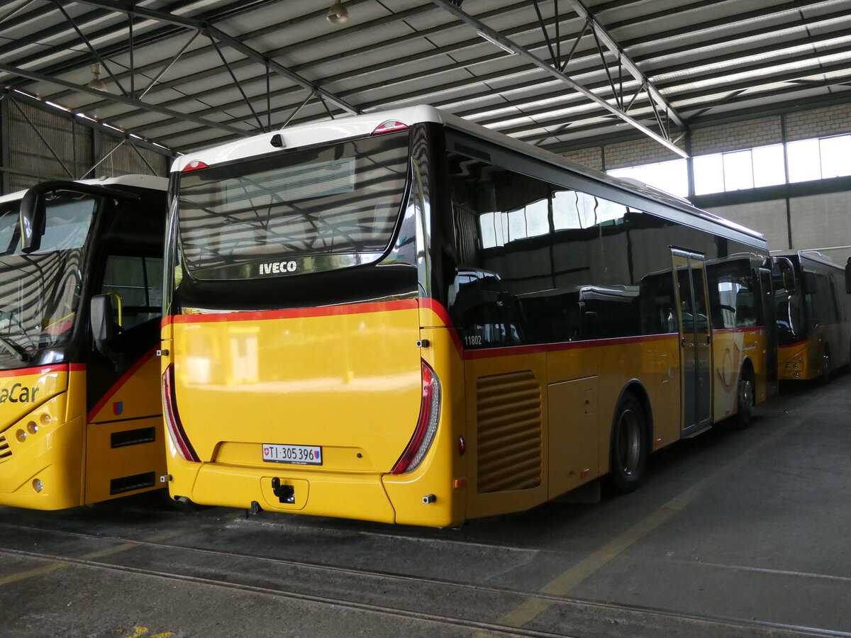 (236'304) - AutoPostale Ticino - TI 305'396 - Iveco am 26. Mai 2022 in Taverne, Garage