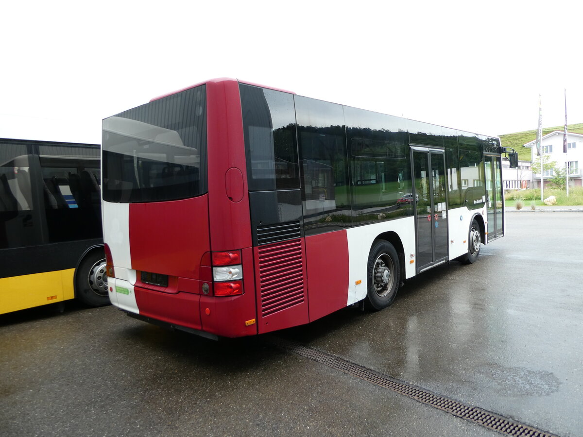 (236'836) - TPF Fribourg - Nr. 350 - MAN/G�ppel am 5. Juni 2022 in Winterthur, EvoBus