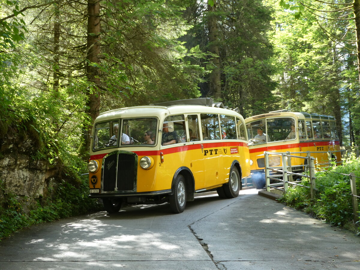 (237'691) - Schmid, Th�rishaus - Nr. 3/BE 26'760 - Saurer/Gangloff (ex Geiger, Adelboden Nr. 3) am 26. Juni 2022 in Kiental, Tschingel