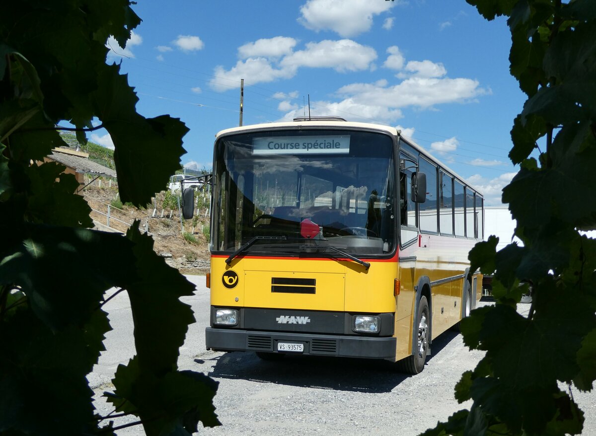 (238'705) - Oser, B�rchen - VS 93'575 - NAW/Lauber (ex Epiney, Ayer) am 31. Juli 2022 in Molignon, Route de Molignon