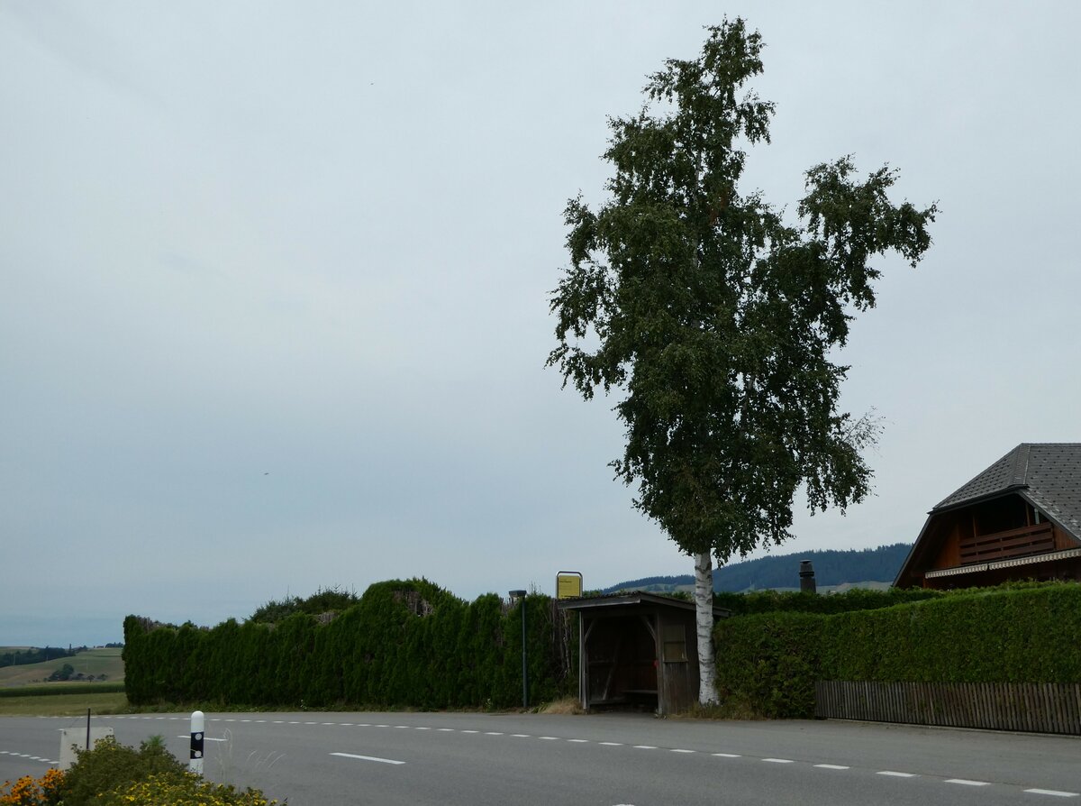 (239'046) - STI-Haltestelle am 14. August 2022 in Schwarzenegg, Ried K�serei