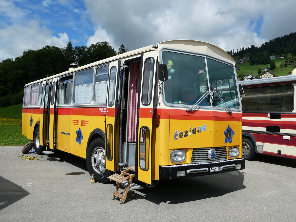 (239'151) - G�hwiler, Birmensdorf - ZH 311'480 - Saurer/T�scher (ex AVG Grindelwald Nr. 12; ex Steiger, Schlatt) am 20. August 2022 in Wildhaus, Munzenriet