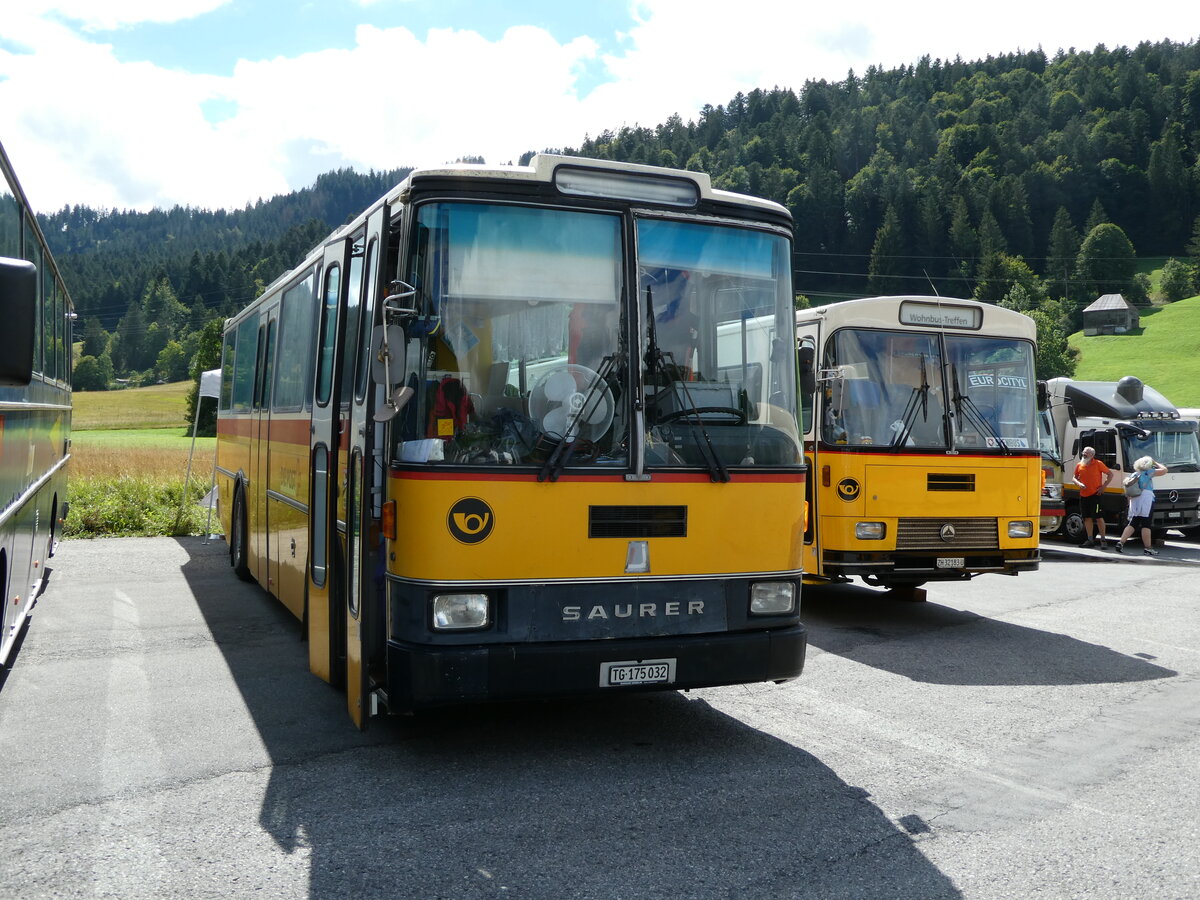 (239'174) - Sch�r, Ettenhausen - TG 175'032 - Saurer/R&J (ex Zimmermann, Kerns; ex Amstein, Willisau) am 20. August 2022 in Wildhaus, Munzenriet