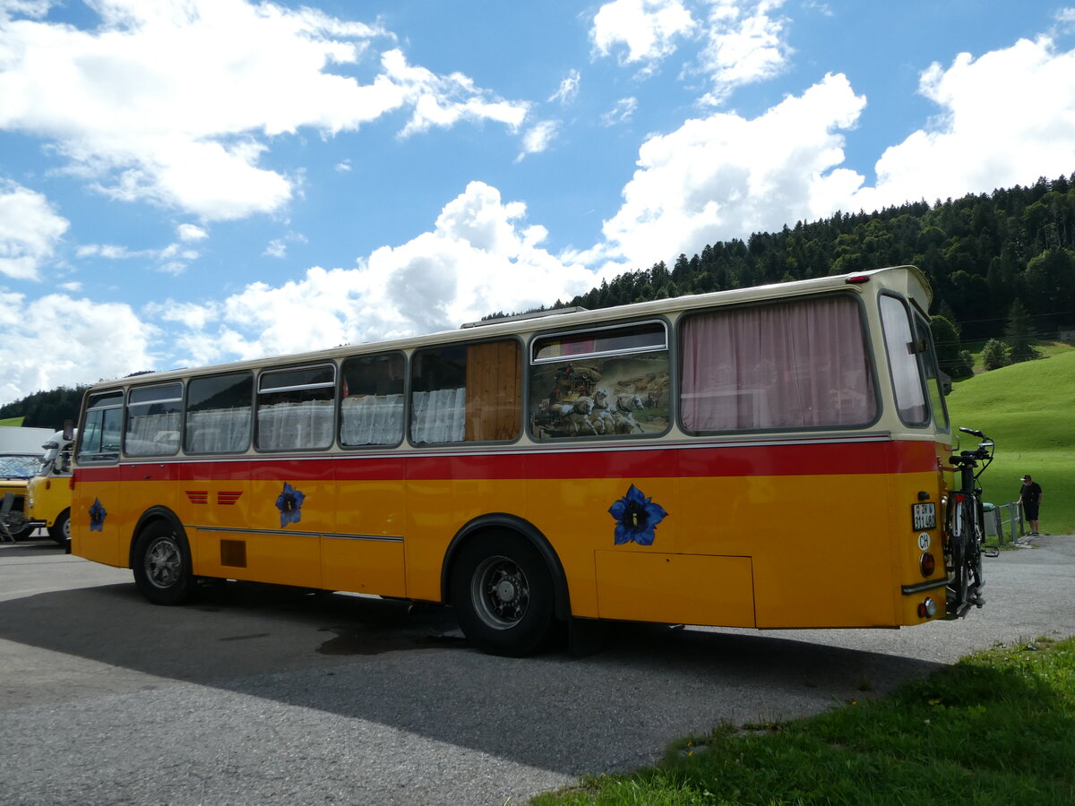 (239'206) - G�hwiler, Birmensdorf - ZH 311'480 - Saurer/T�scher (ex AVG Grindelwald Nr. 12; ex Steiger, Schlatt) am 20. August 2022 in Wildhaus, Munzenriet
