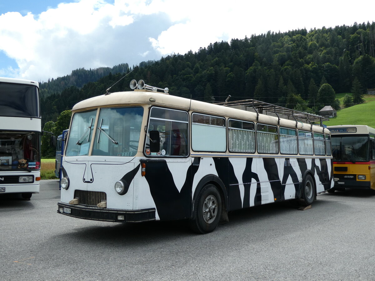 (239'224) - K�ndig, Affeltrangen - TG 184'199 - FBW/R&J (ex P 25'505; ex P 22'304) am 20. August 2022 in Wildhaus, Munzenriet