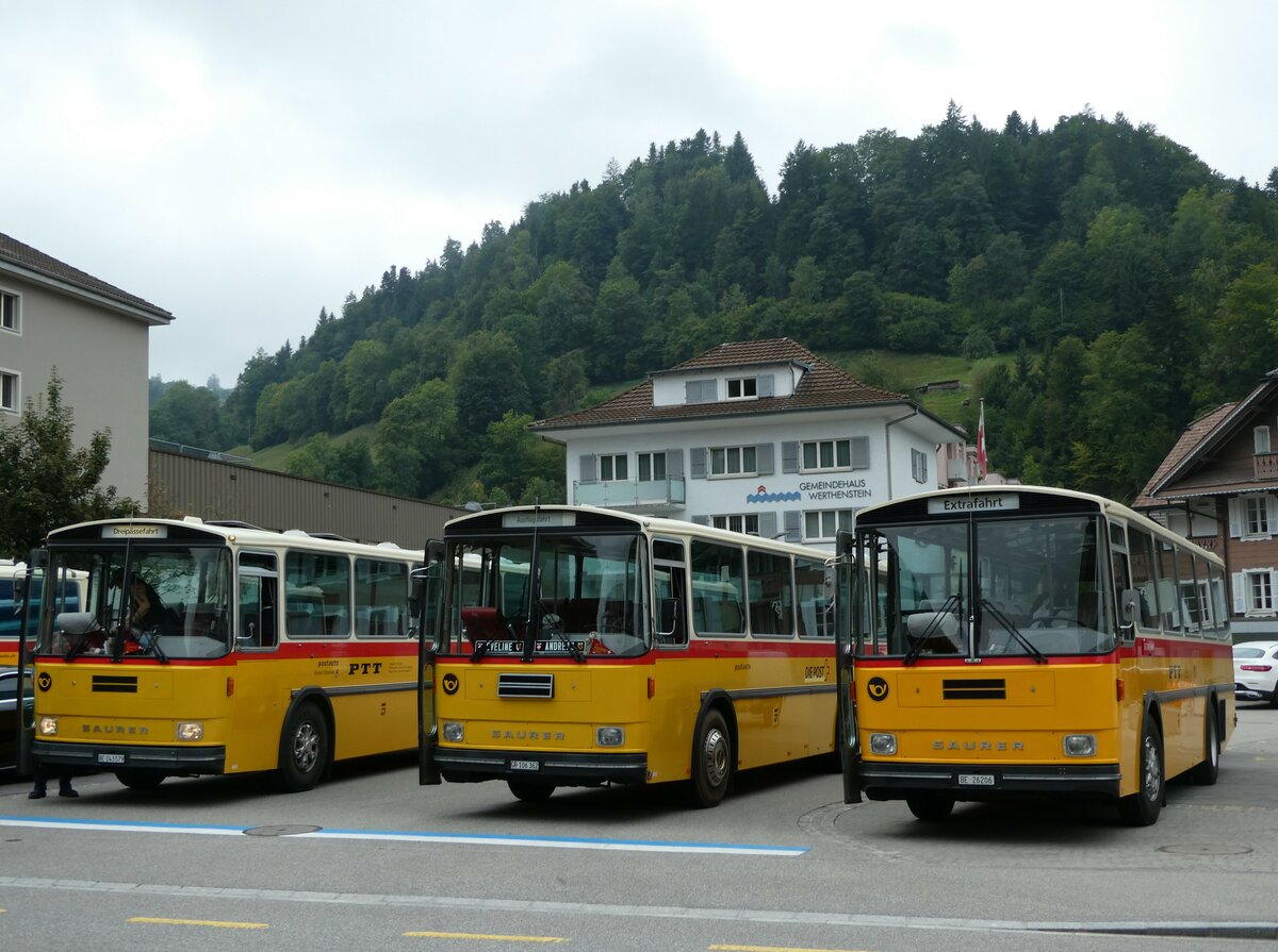 (239'761) - Schmid, Th�rishaus - BE 26'206 - Saurer/T�scher (ex P 24'244) am 28. August 2022 in Wolhusen, Markt