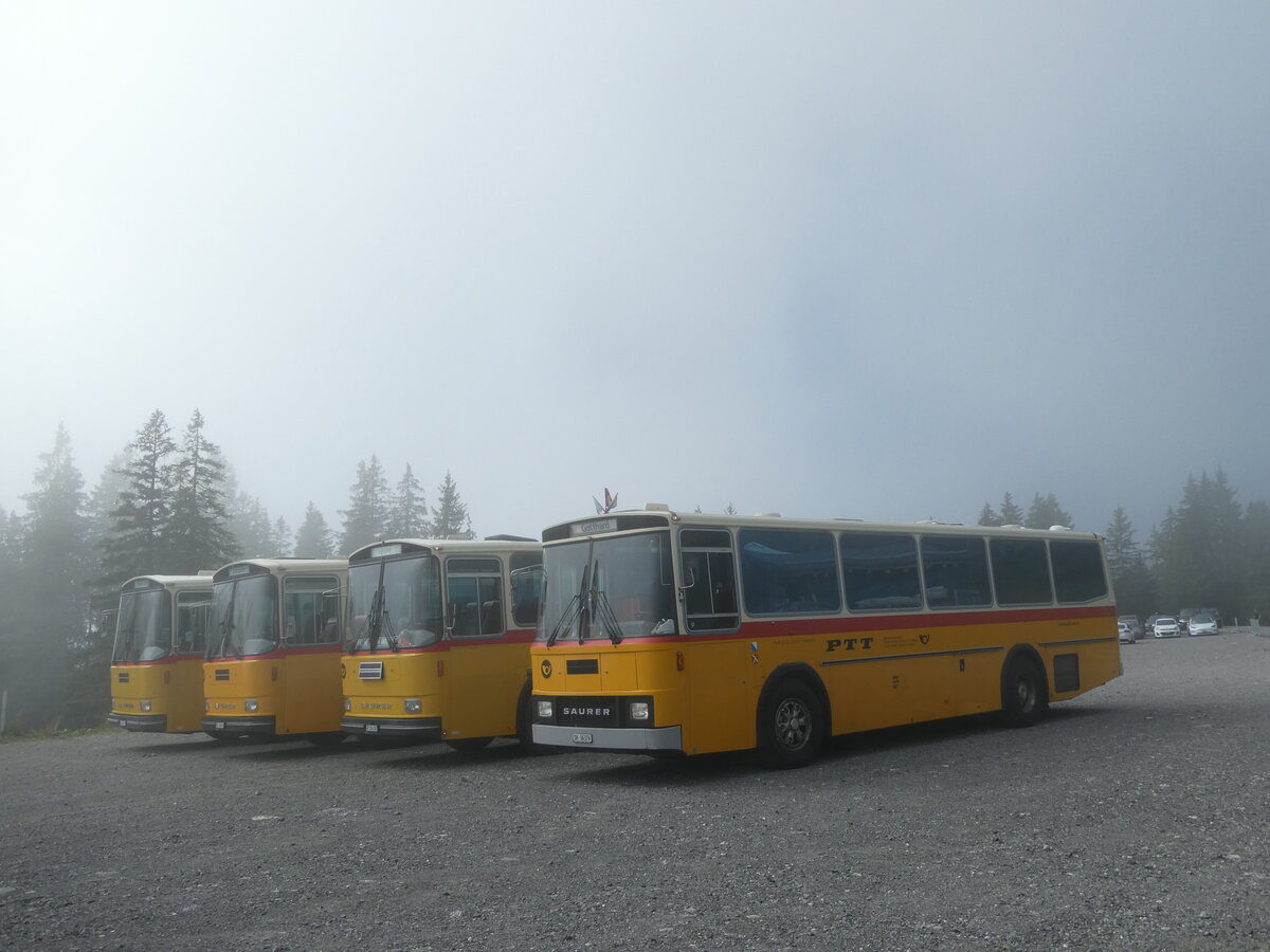 (239'778) - Roth, Z�rich - SH 36'376 - Saurer/T�scher (ex Looser, Elm; ex Mattli, Wassen) am 28. August 2022 in Stalden, Langis