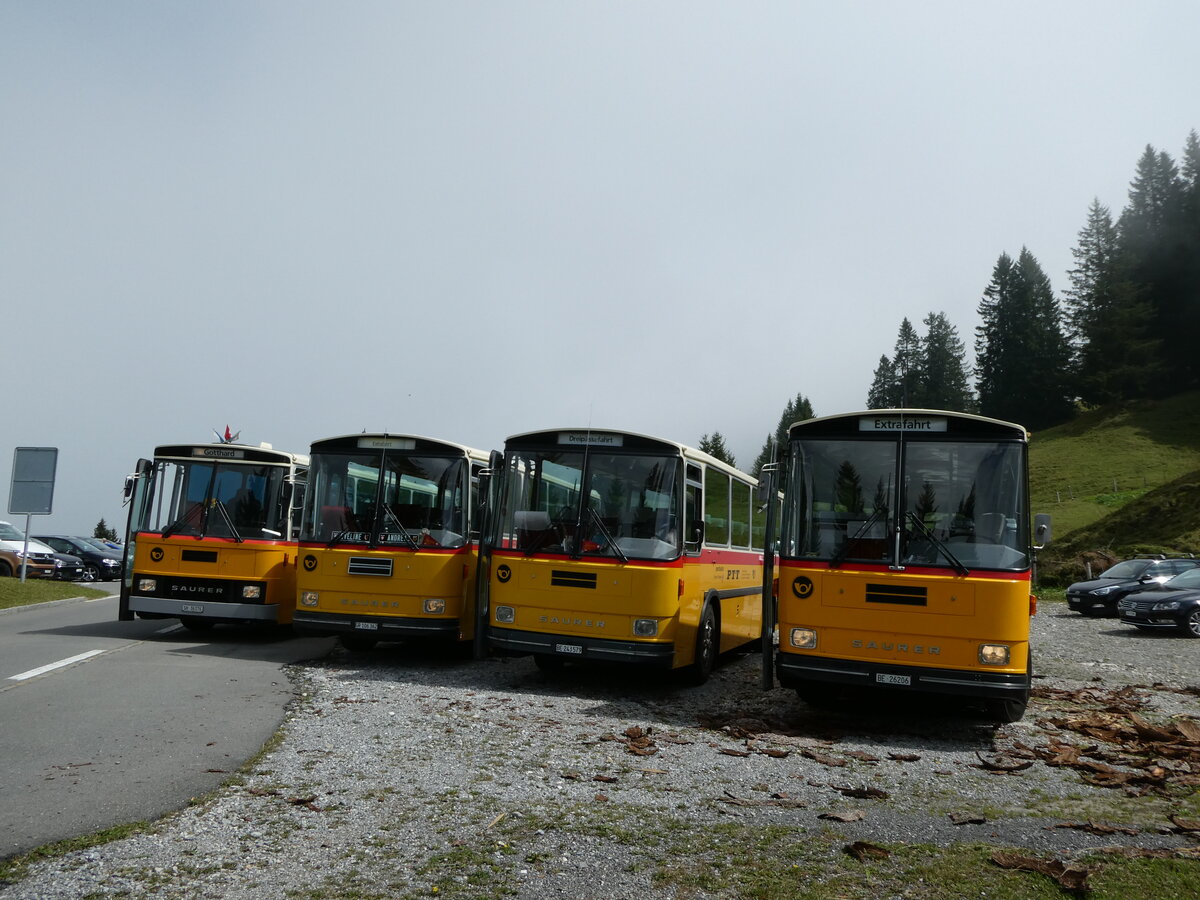 (239'827) - Schmid, Th�rishaus - BE 26'206 - Saurer/T�scher (ex P 24'244) am 28. August 2022 in Giswil, Glaubenbielen