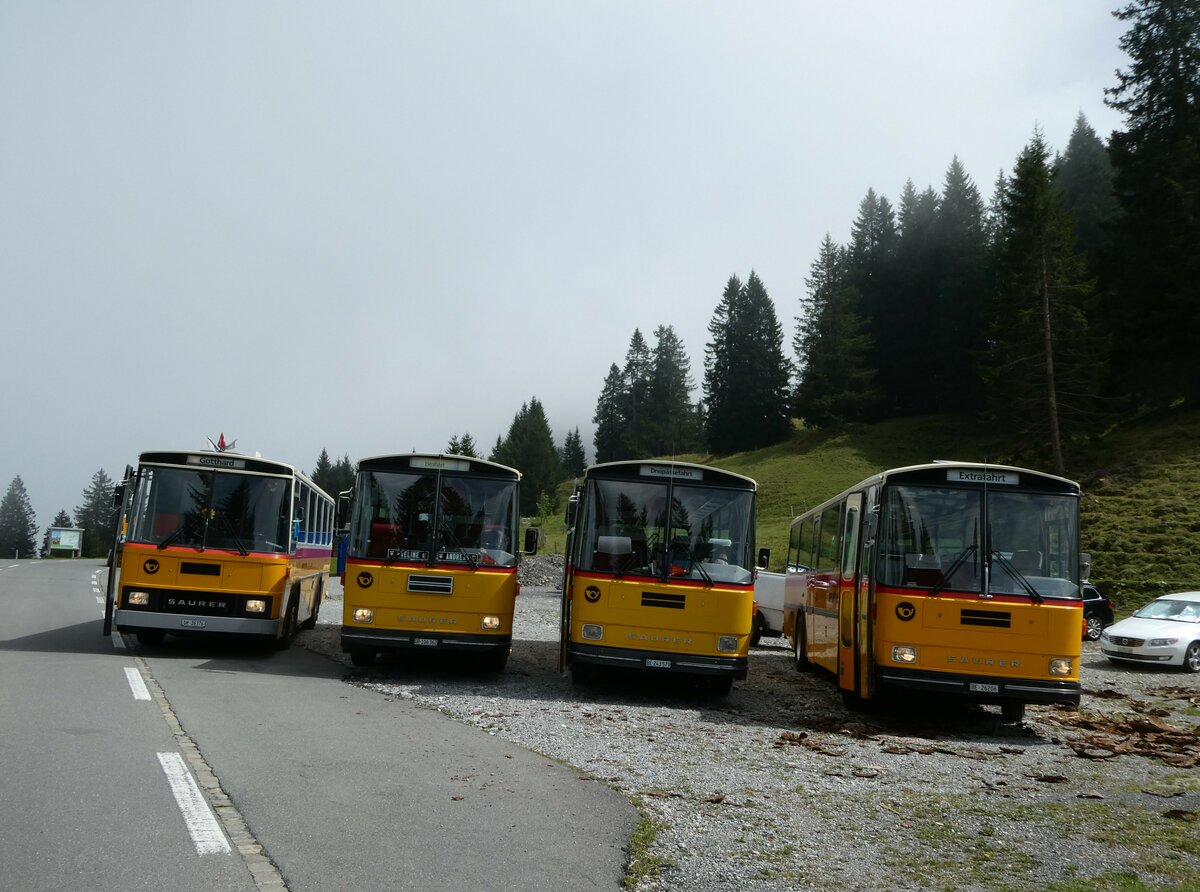 (239'828) - Roth, Z�rich - SH 36'376 - Saurer/T�scher (ex Looser, Elm; ex Mattli, Wassen) + Ackermann, Landquart - GR 106'362 - Saurer/R&J (ex F�ssler, Unteriberg; ex Sch�rch, Gutenburg Nr. 6; ex P 24'358) + Krummenacher, Zllis - Nr. 74/BE 243'579 - Saurer/R&J (ex AVG Meiringen Nr. 74; ex PostAuto Berner Oberland; ex P 24'357) + Schmid, Th�rishaus - BE 26'206 - Saurer/T�scher (ex P 24'244) am 28. August 2022 in Giswil, Glaubenbielen