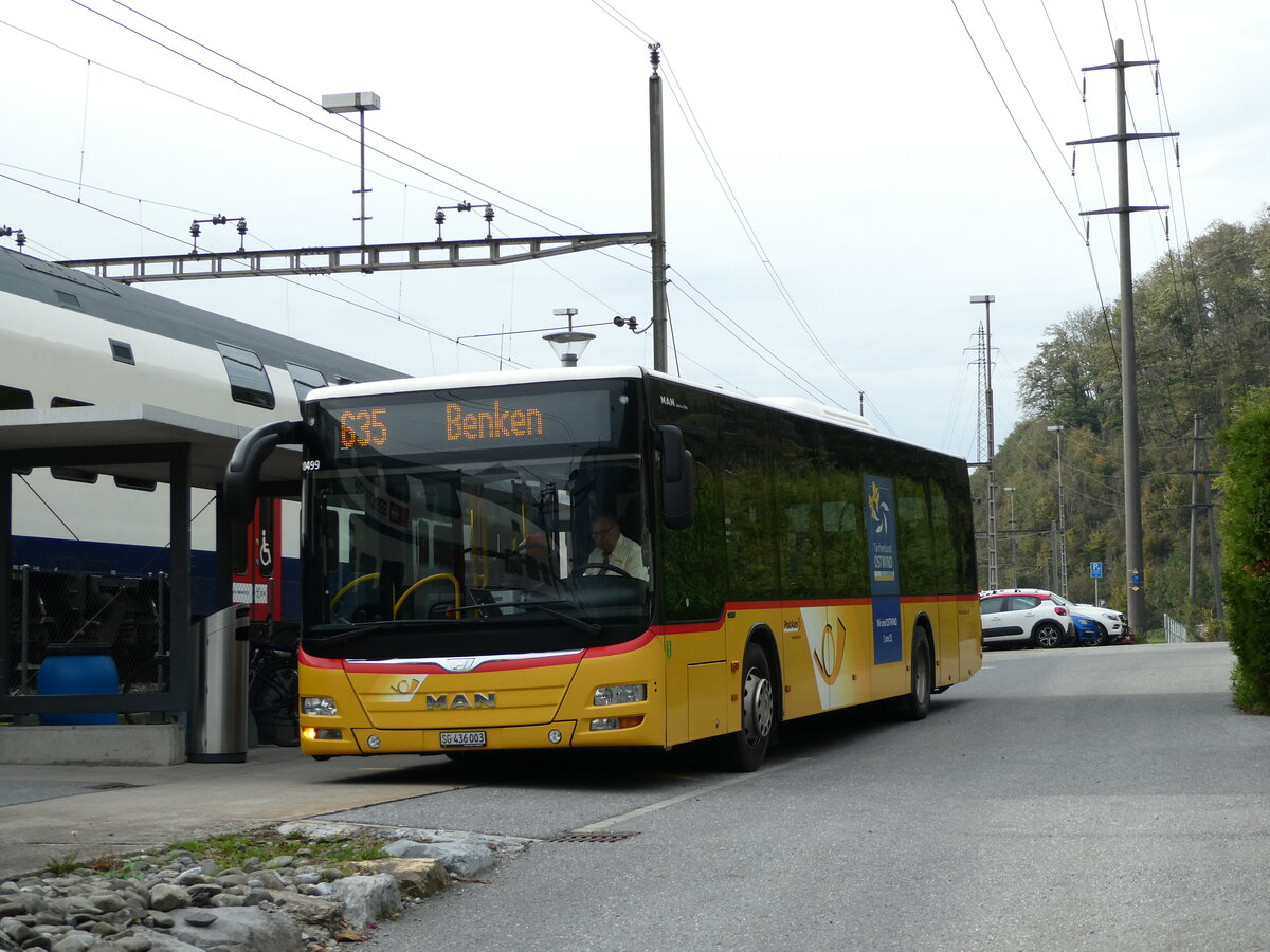 (241'630) - PostAuto Ostschweiz - SG 436'003 - MAN am 20. Oktober 2022 beim Bahnhof Ziegelbr�cke
