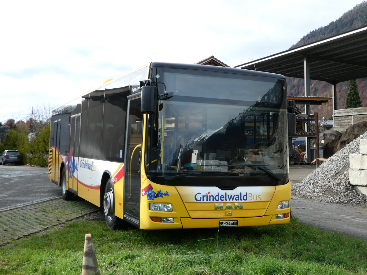 (243'075) - Grindelwaldbus, Grindelwald - Nr. 24/BE 364'408 - MAN/G�ppel am 22. November 2022 in Interlaken, Garage