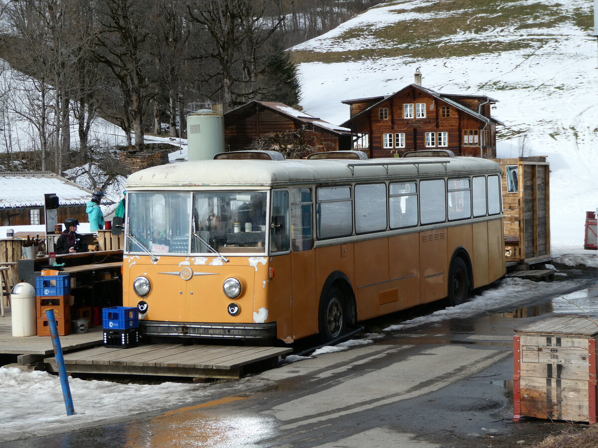 (246'262) - Bus Stop, Grindelwald - Nr. 5 - FBW/R&J (ex Schuler, Orpund; ex Tramverein, Bern; ex Meier, Studen; ex Sch�r, Aegerten; ex ABM Meinisberg Nr. 5; ex ABM Meinisberg Nr. 1) am 17. Februar 2023 in Grindelwald, Steinacher