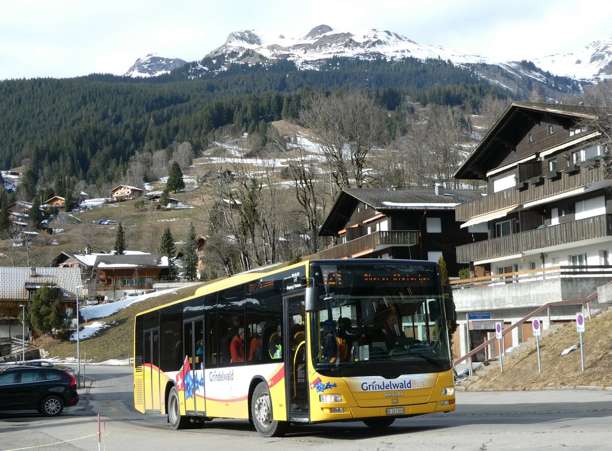 (246'267) - Grindelwaldbus, Grindelwald - Nr. 11/BE 261'865 - MAN/G�ppel am 17. Februar 2023 in Grindelwald, Alpenrose