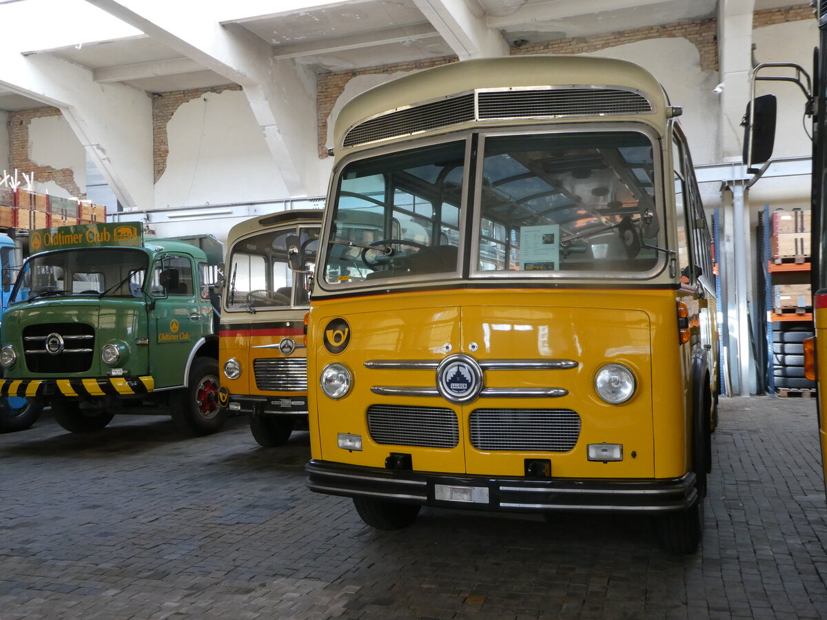 (247'357) - Oldtimer Club Saurer, Arbon - Saurer/Saurer (ex Ryffel, Z�rich; ex M+79'500; ex P 24'136; ex P 21'736) am 17. M�rz 2023 in Arbon, Saurermuseum Depot