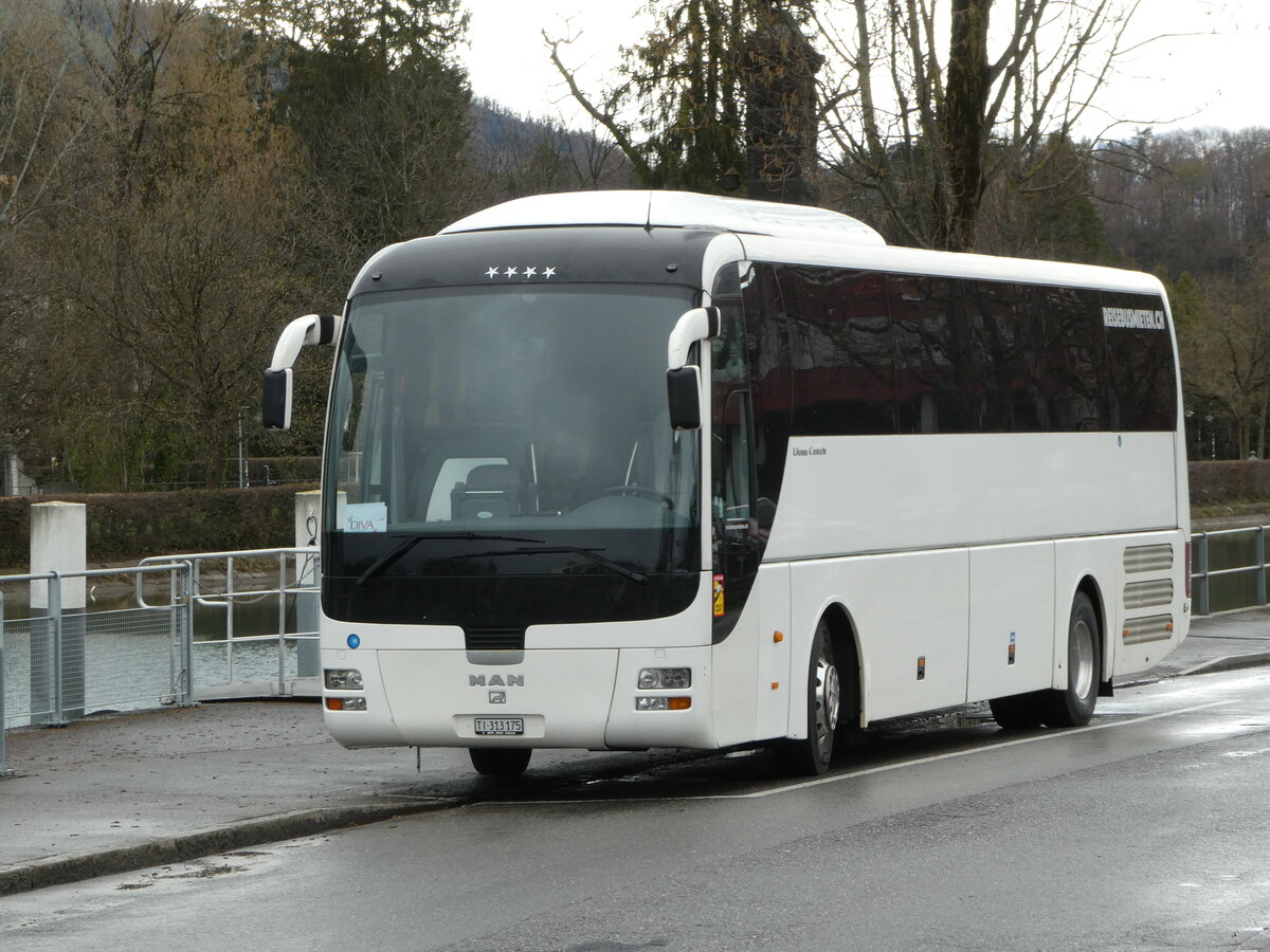 (247'755) - Bihtours, Schlieren - TI 313'175 - MAN am 26. M�rz 2023 bei der Schiffl�ndte Thun
