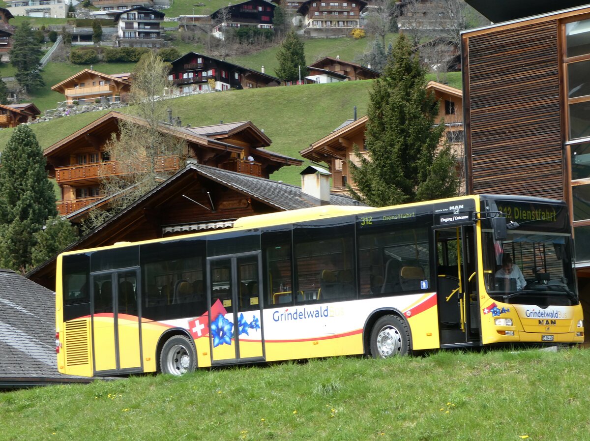 (248'809) - Grindelwaldbus, Grindelwald - Nr. 24/BE 364'408 - MAN/G�ppel am 18. April 2023 in Grindelwald, Garage