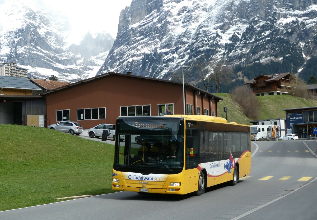(248'816) - Grindelwaldbus, Grindelwald - Nr. 11/BE 261'865 - MAN/G�ppel am 18. April 2023 in Grindelwald, Terminal