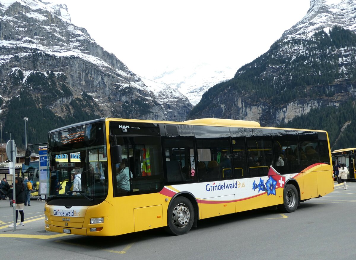(248'844) - Grindelwaldbus, Grindelwald - Nr. 11/BE 261'865 - MAN/G�ppel am 18. April 2023 beim Bahnhof Grindelwald