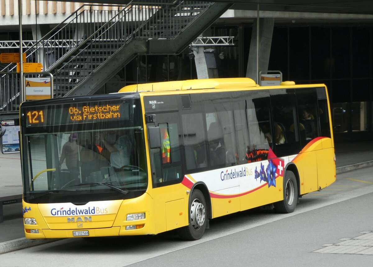 (249'201) - Grindelwaldbus, Grindelwald - Nr. 14/BE 202'568 - MAN/G�ppel am 28. April 2023 in Grindelwald, Terminal