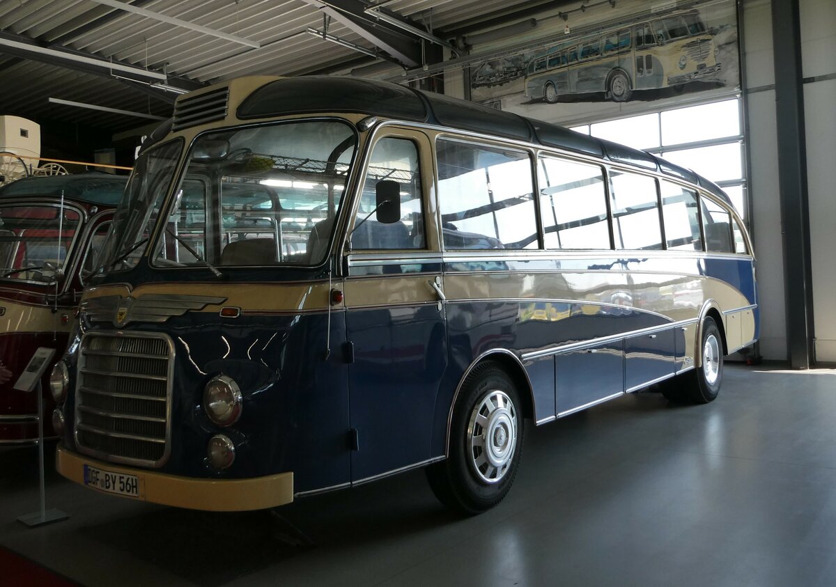 (250'956) - Auw�rter, Pilsting - DGF-BY 56H - Neoplan am 4. Juni 2023 in Pilsting, Auw�rter Automobil-Park