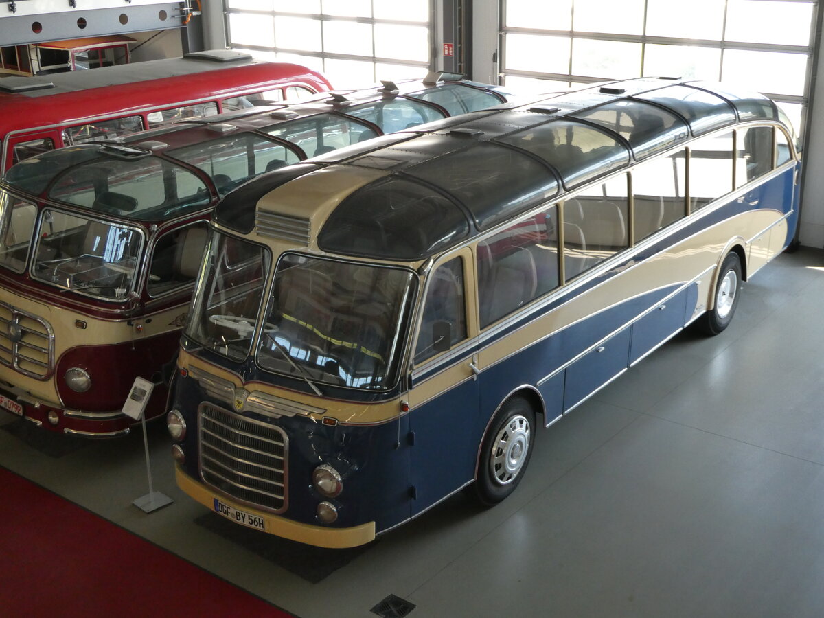 (250'960) - Auw�rter, Pilsting - DGF-BY 56H - Neoplan am 4. Juni 2023 in Pilsting, Auw�rter Automobil-Park