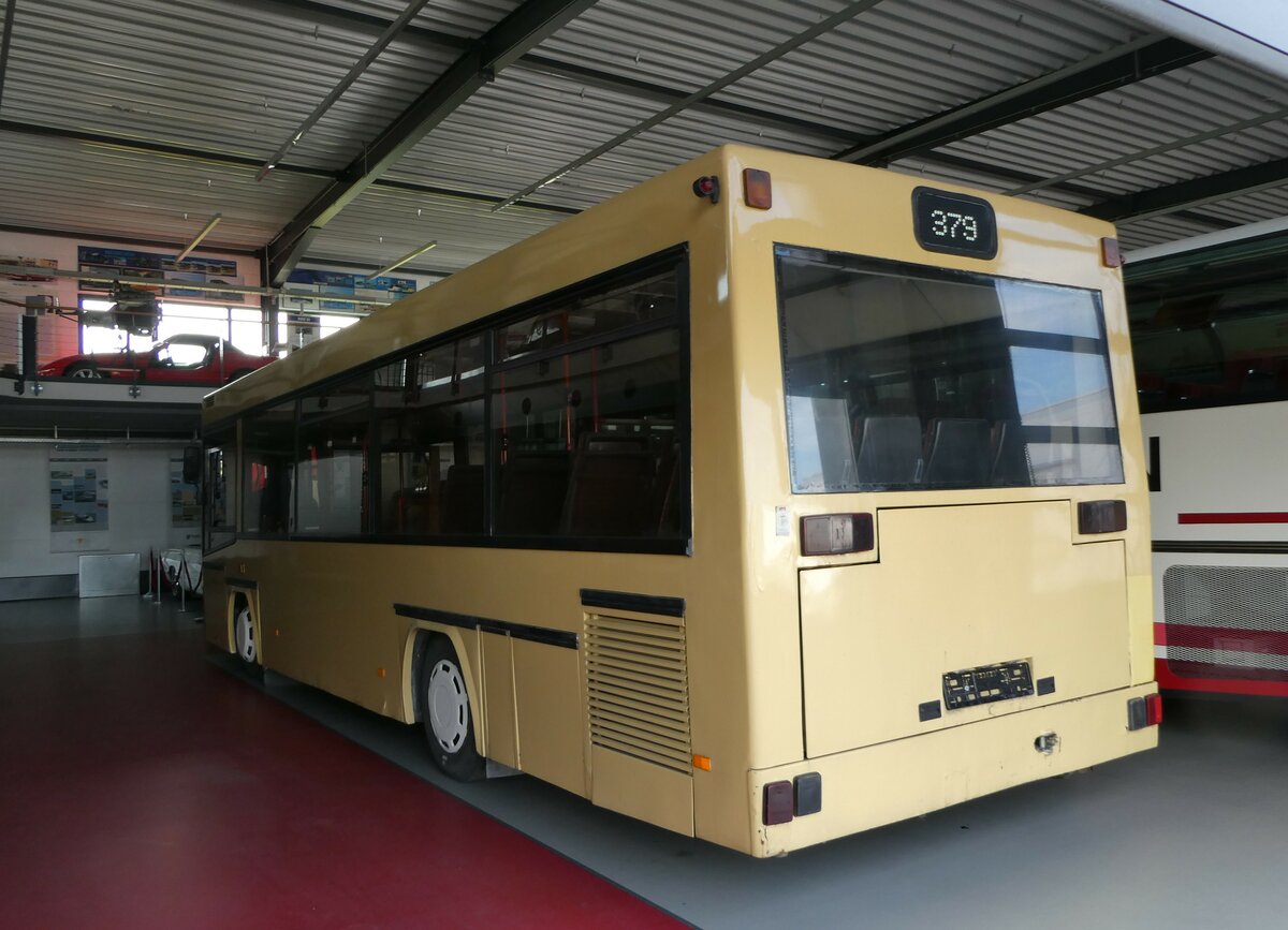 (251'030) - Auw�rter, Pilsting - Neoplan (ex BVG Berlin Nr. 2423) am 4. Juni 2023 in Pilsting, Auw�rter Automobil-Park