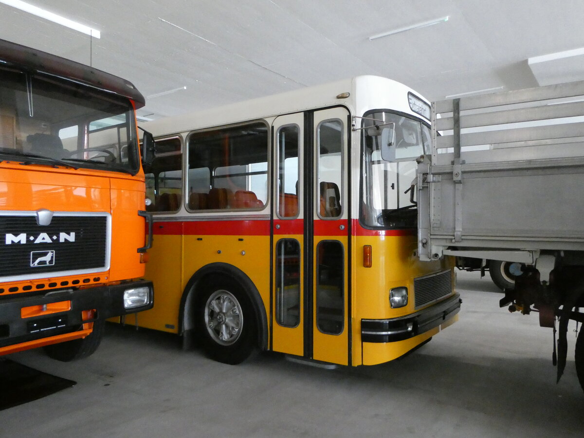 (251'316) - R�llin, Hirzel - FBW/FHS (ex K�lin, M�riken; ex Eggenberger, M�riken; ex Hammer, Schwarzenberg; ex Bucheli, Kriens Nr. 22) am 10. Juni 2023 in N�fels, FBW-Museum (Teilaufnahme)