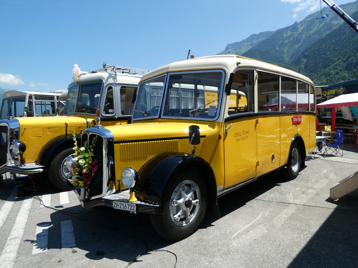 (251'981) - Moser, Sch�nenberg - ZH 216'722 - Berna/Hess (ex Barenco, Faido) am 24. Juni 2023 in Interlaken, Flugplatz
