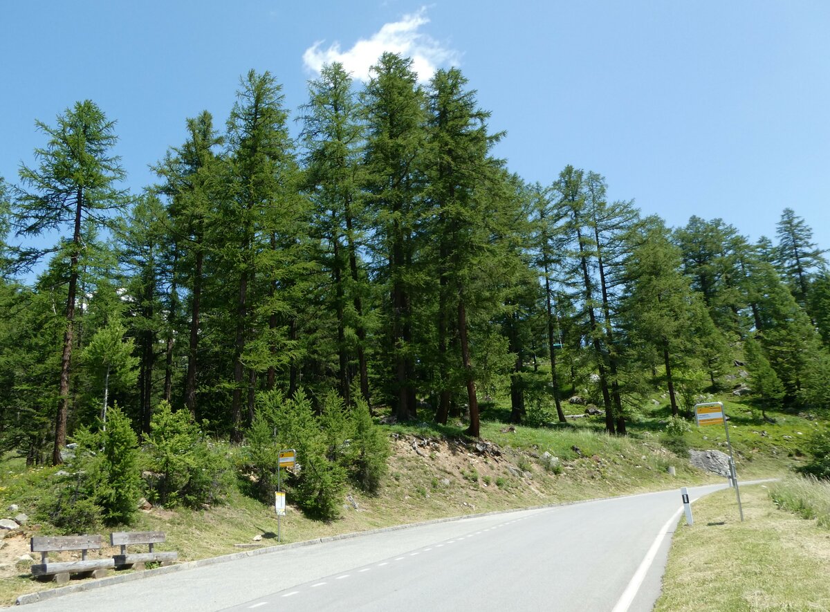 (252'101) - PostAuto-Haltestellen am 26. Juni 2023 in Blatten (L�tschen), Langgletscher