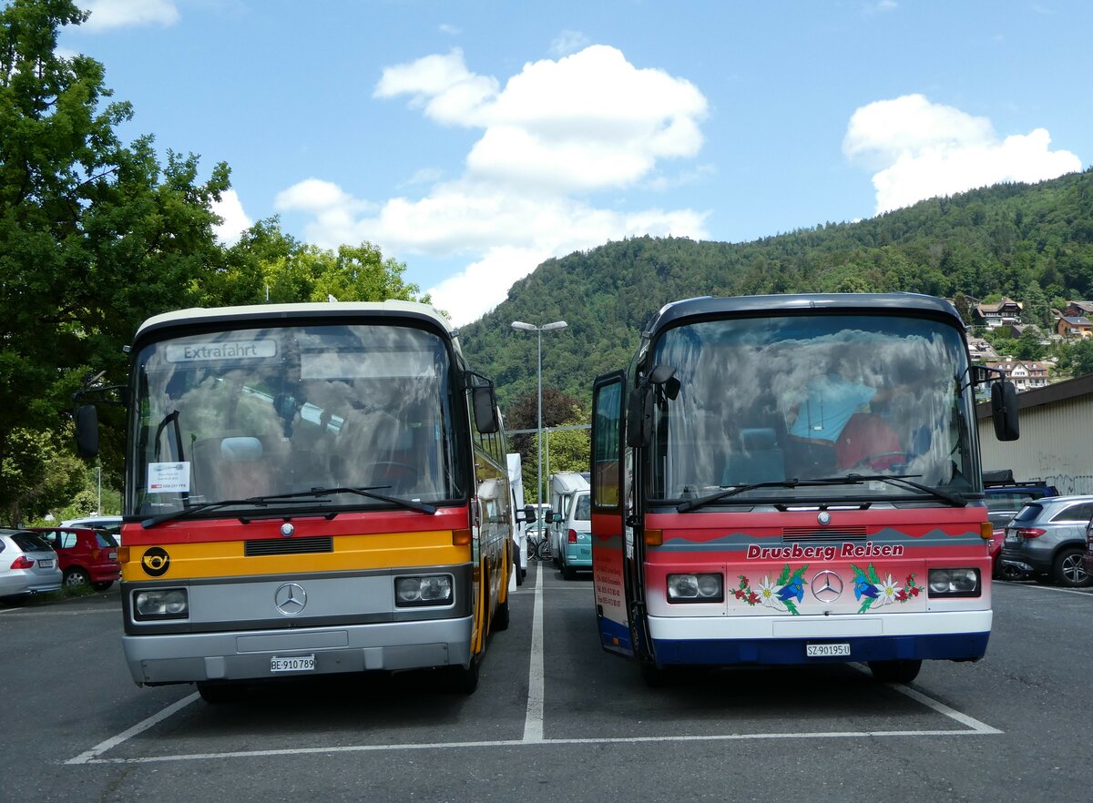 (252'379) - Buzzi, Bern - BE 910'789 - Mercedes (ex Mattli, Wassen PID 2295) + Schelbert, Einsiedeln - SZ 90'195 U - Mercedes (ex Scheidegger, Basel Nr. 30) am 6. Juli 2023 in Thun, Seestrasse