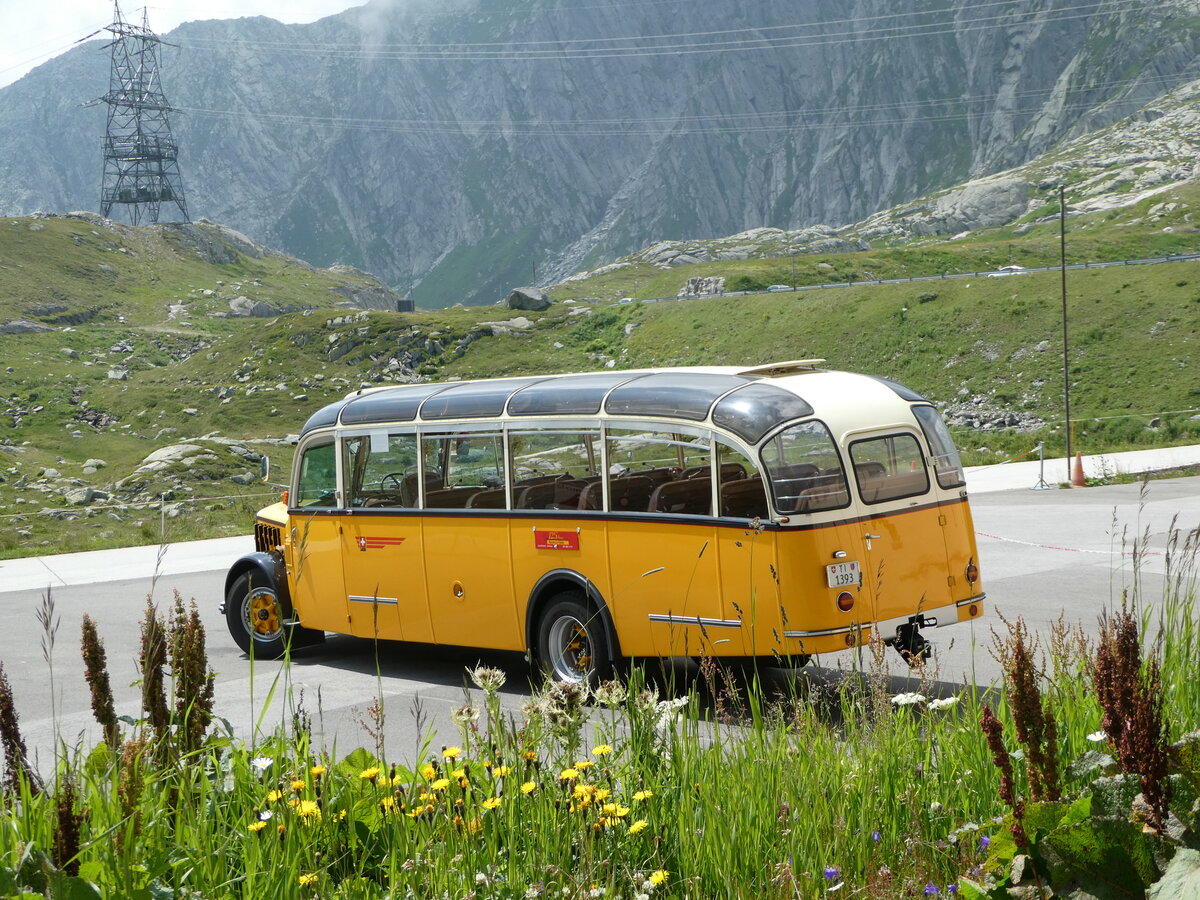 (252'892) - Barenco, Faido - TI 1393 - Saurer/R&J (ex Oldie-Reisen, Matzingen; ex M+79'506; ex P 23'139; ex P 2206) am 23. Juli 2023 in Gotthard, Passh�he