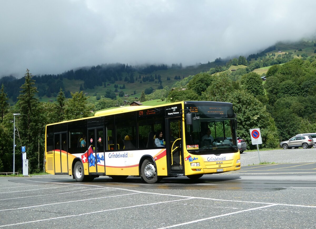 (253'404) - Grindelwaldbus, Grindelwald - Nr. 11/BE MAN/G�ppel am 5. August 2023 in Grindelwald, Oberer Gletscher