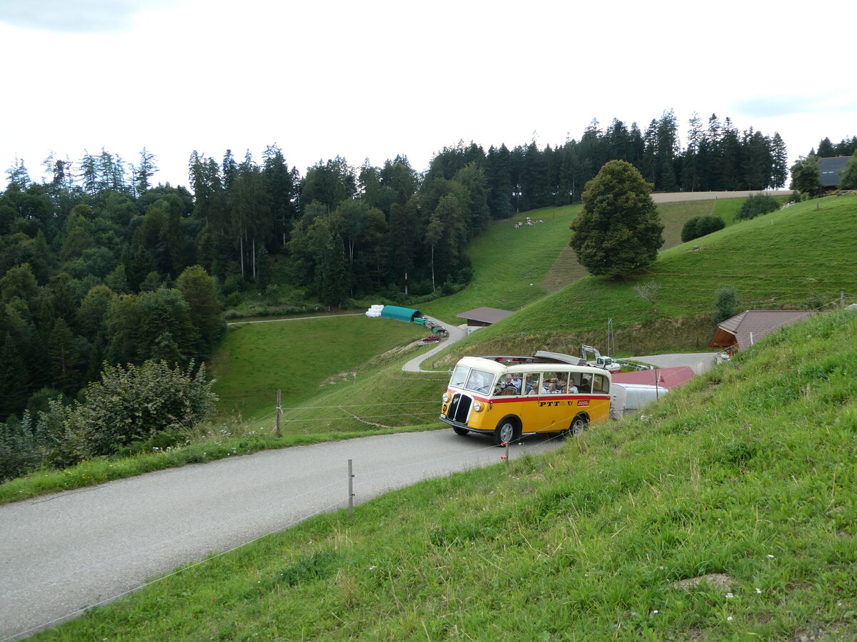 (253'559) - Schmid, Th�rishaus - Nr. 3/BE 26'760 - Saurer/Gangloff (ex Geiger, Adelboden Nr. 3) am 9. August 2023 in Bigenthal, Hellweid