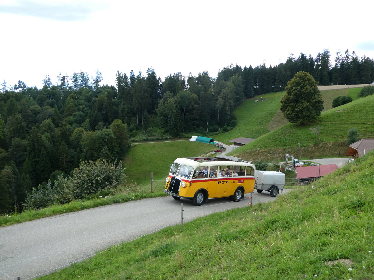 (253'560) - Schmid, Th�rishaus - Nr. 3/BE 26'760 - Saurer/Gangloff (ex Geiger, Adelboden Nr. 3) am 9. August 2023 in Bigenthal, Hellweid