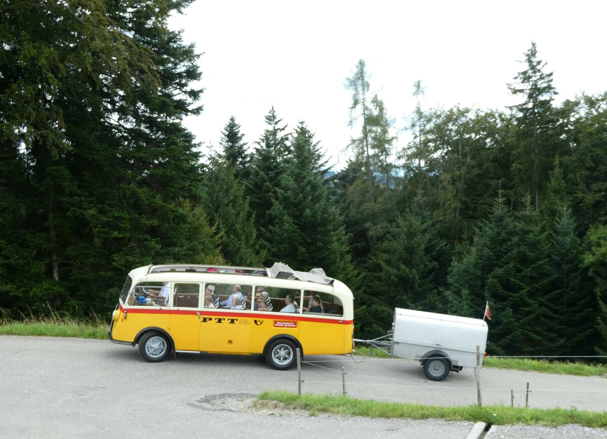 (253'562) - Schmid, Th�rishaus - Nr. 3/BE 26'760 - Saurer/Gangloff (ex Geiger, Adelboden Nr. 3) am 9. August 2023 in Bigenthal, Hellweid